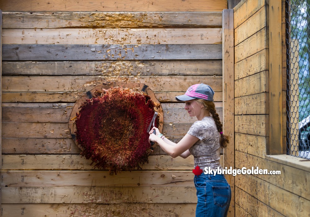 Visitor Removing Axe