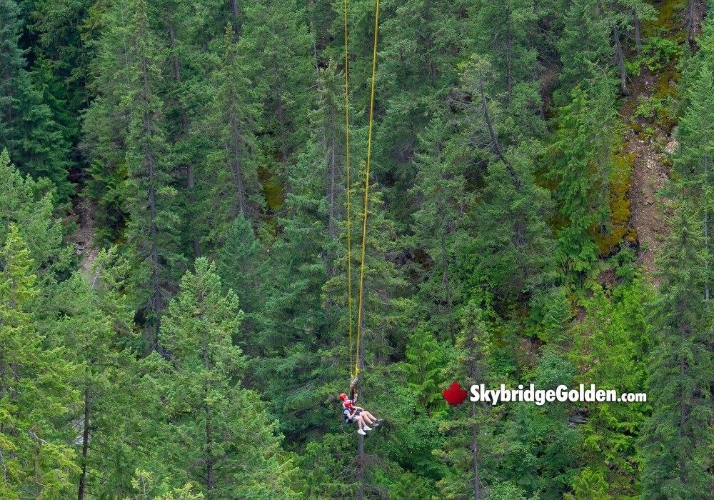 Visitors on Canyon Swing with Bridge Above