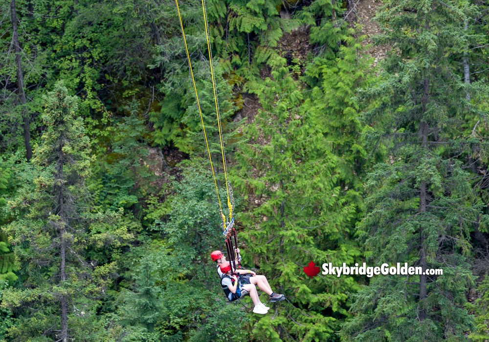 Canyon Swing Visitors