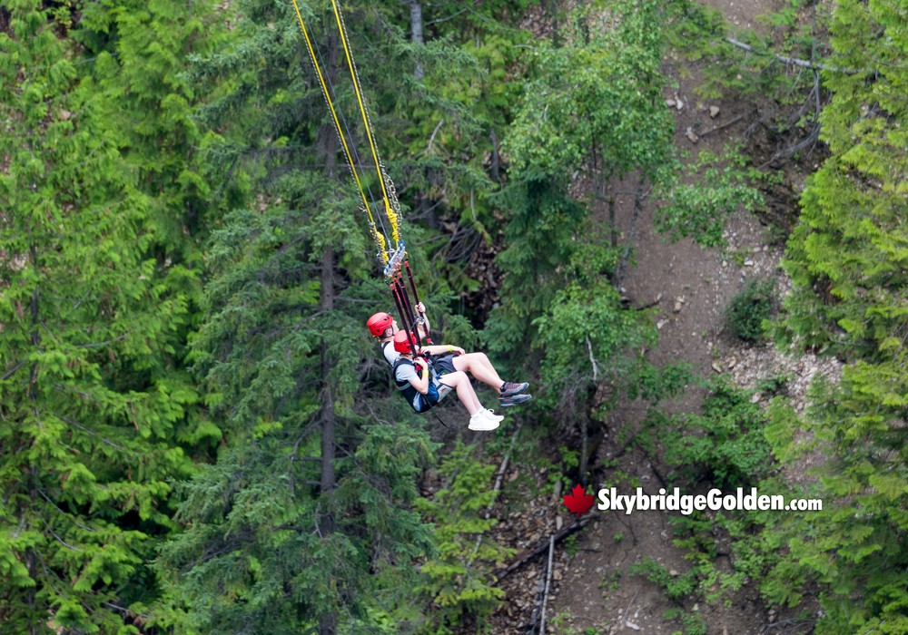 Visitors Enjoying the Canyon Swing