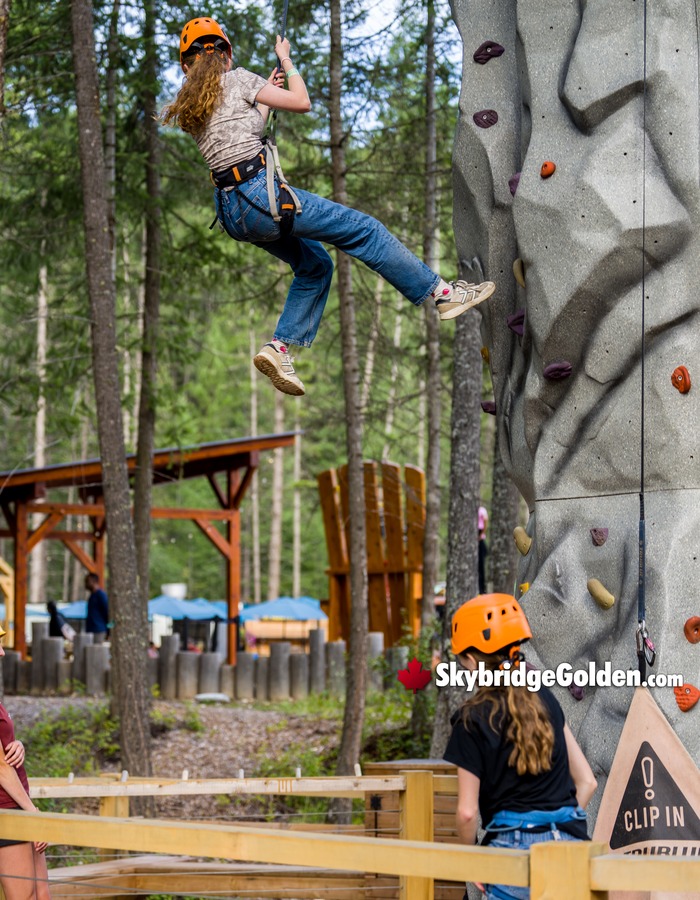 Climbing Wall