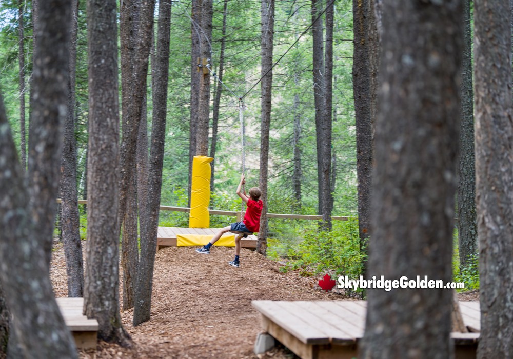 Rope Line with One Visitor Through Trees