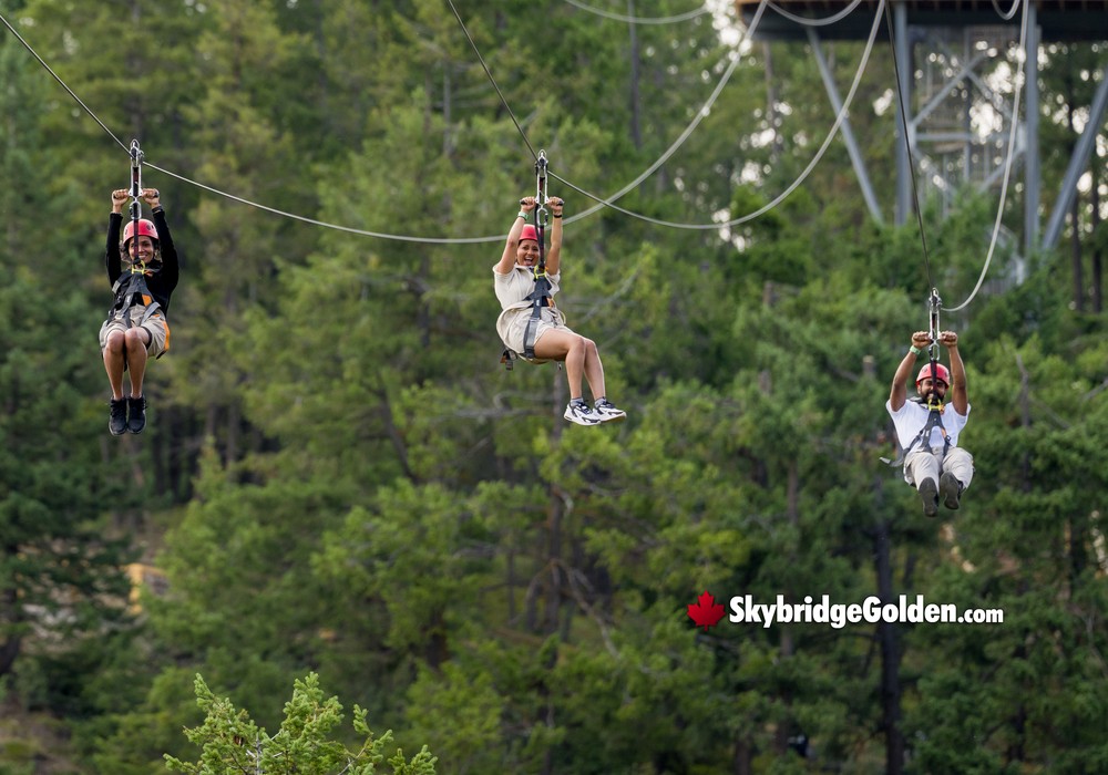 Four Visitors on Zipline