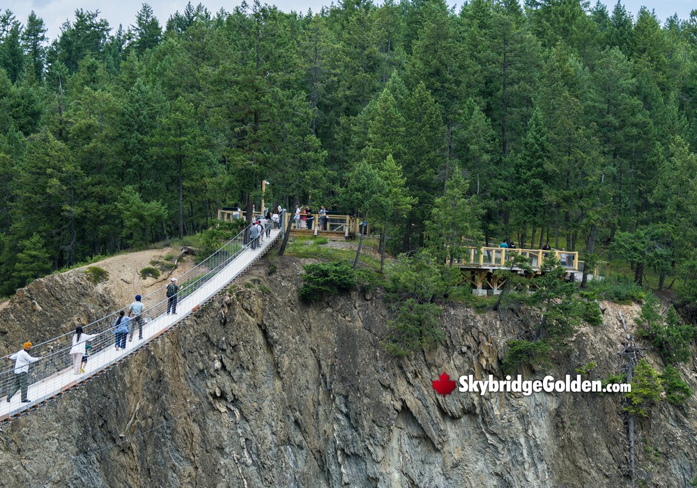 Golden Skybridge Distance View with Forest