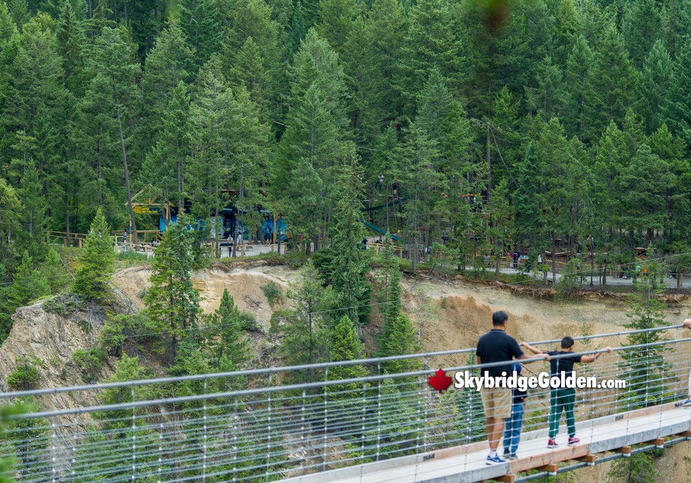 Family Walking Attractions Background