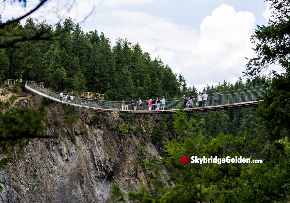 Distant Visitors at the Golden Skybridge