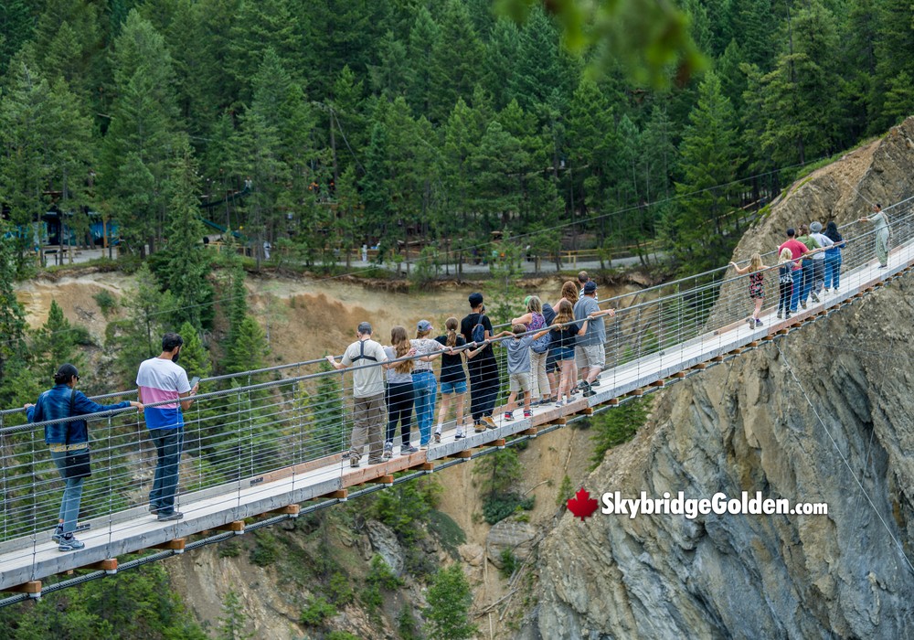 Visitors Viewing Skybridge Walkway