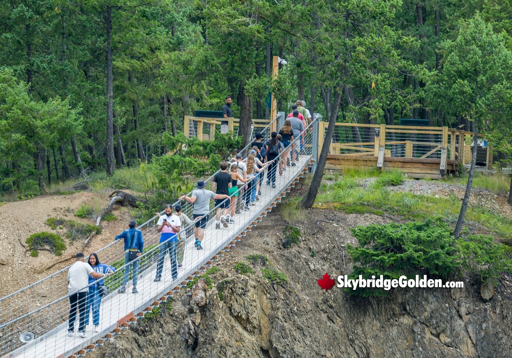 Line of Visitors with Platform View