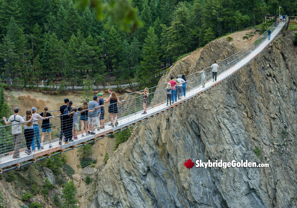 Golden Visitors with Ridgeline View