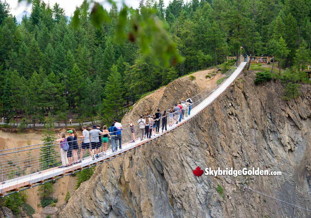 Golden Skybridge Visitors