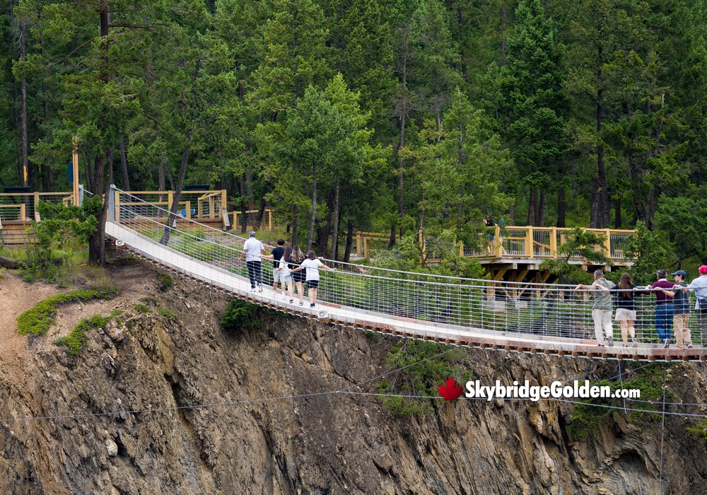 Visitors on Skybridge