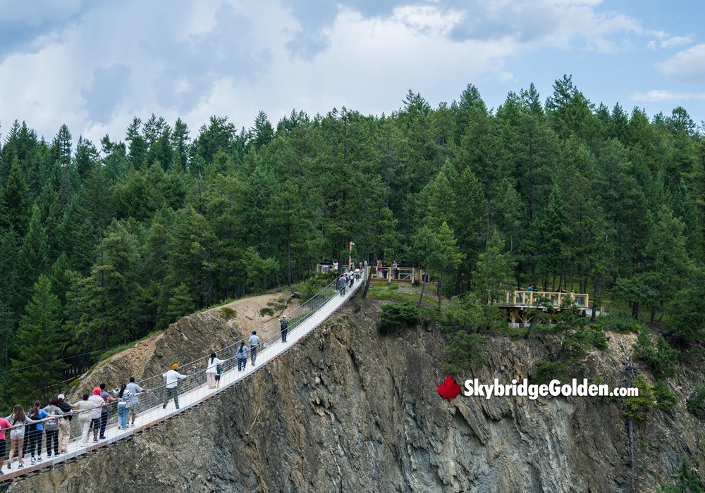 Visitors with Forest View