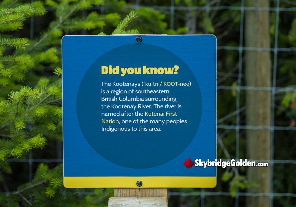 Kootenays Information