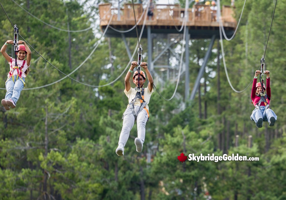 Zipline with Platform