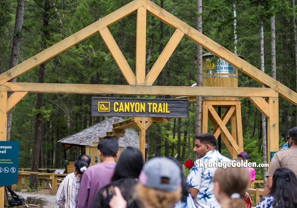 Under Canyon Trail Sign