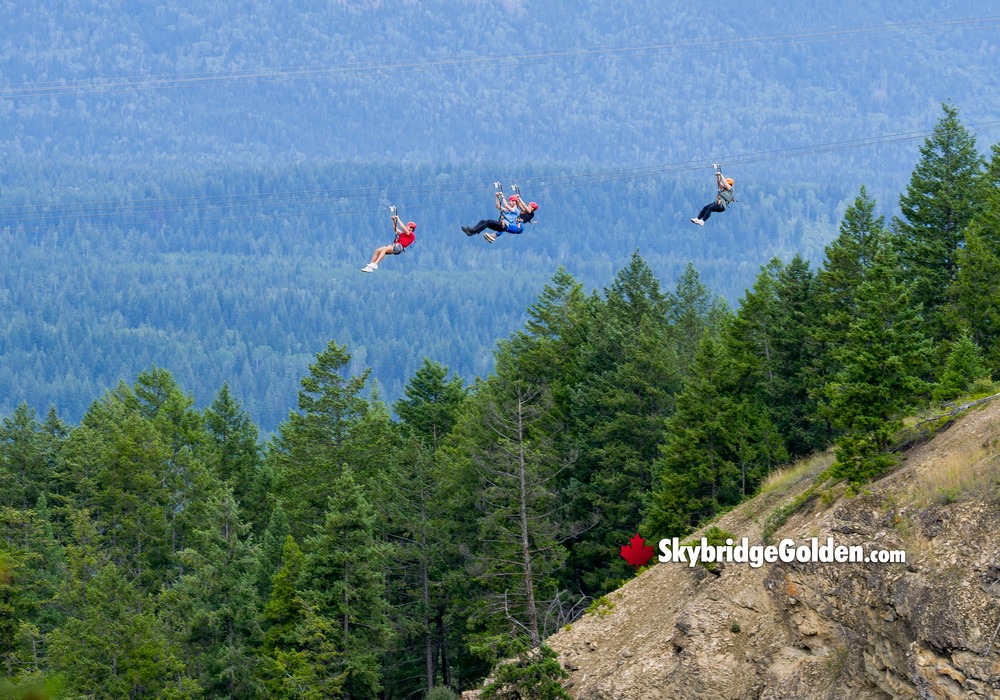 Visitors with Platform and Mountain Zipline
