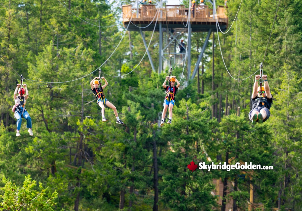 Four Tourists on Zipline