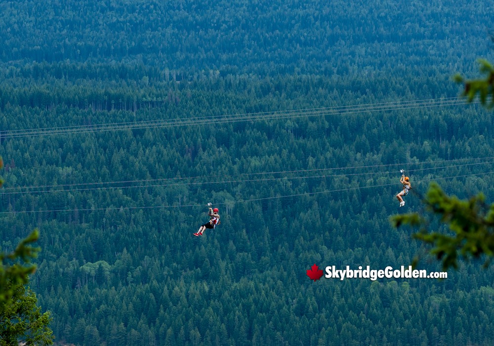Zipline with Skybridge Below