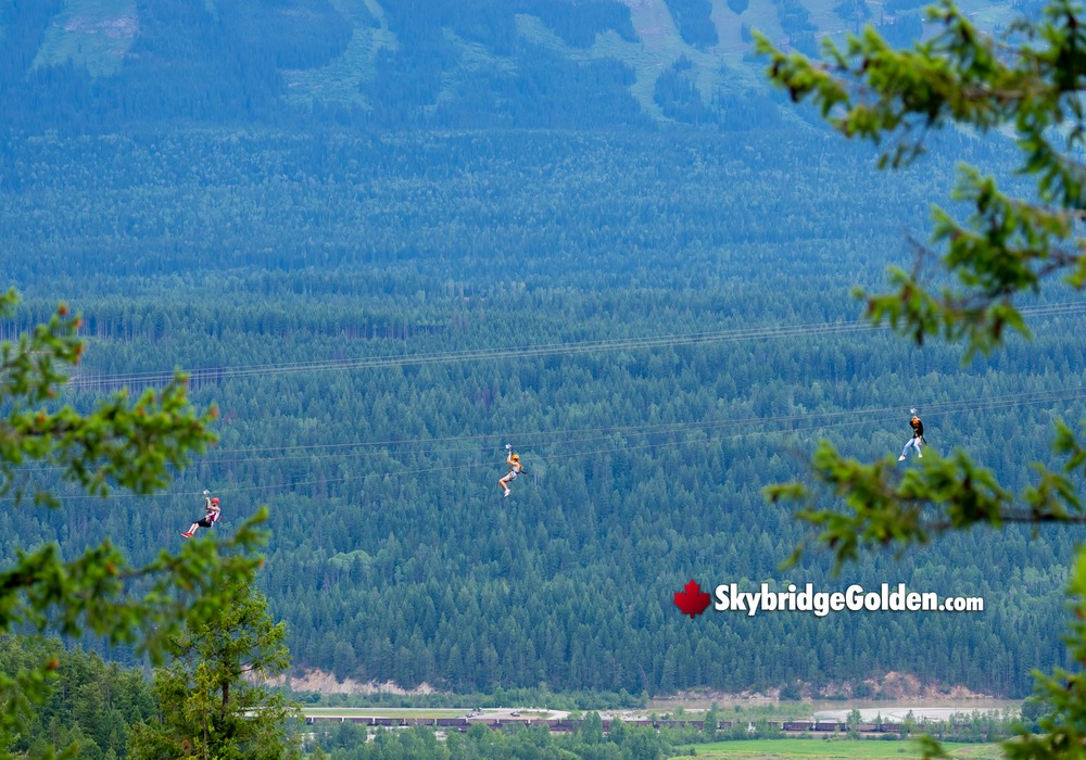 Zipline with Skybridge