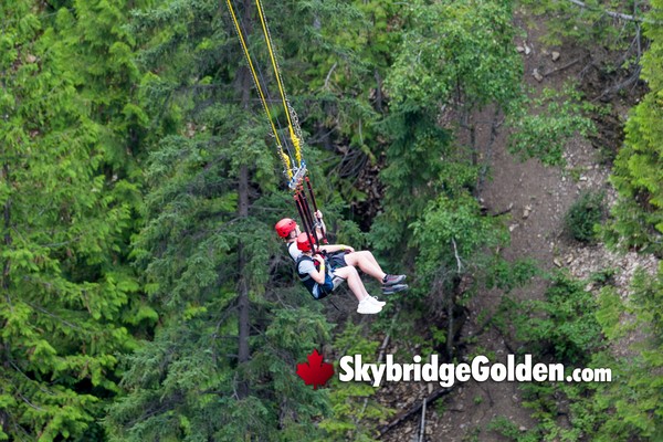 Golden Skybridge Sky Zipline 2026